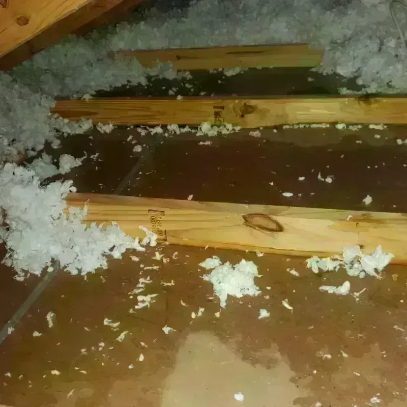 Attic Water Damage in Navajo, NM