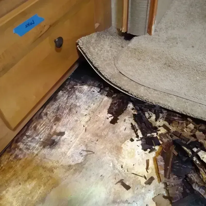 Best Wood Floor Water Damage Service in Navajo, NM